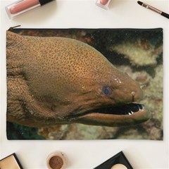 Moray Eel 1 Cosmetic Bag (xxxl)  by trendistuff