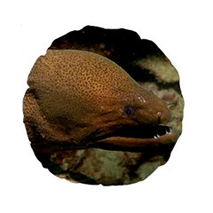 Moray Eel 1 Standard 15  Premium Round Cushions by trendistuff