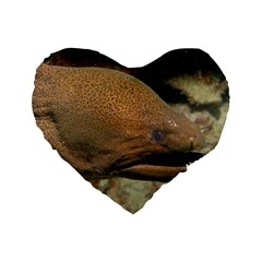 Moray Eel 1 Standard 16  Premium Heart Shape Cushions by trendistuff