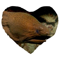 Moray Eel 1 Large 19  Premium Heart Shape Cushions by trendistuff