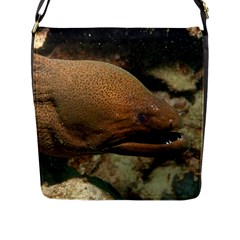 Moray Eel 1 Flap Messenger Bag (l)  by trendistuff