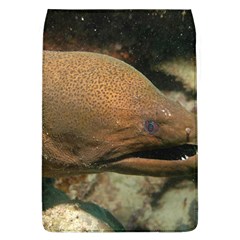 Moray Eel 1 Flap Covers (l)  by trendistuff