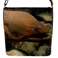 Moray Eel 1 Flap Messenger Bag (s) by trendistuff