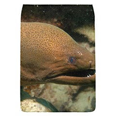 Moray Eel 1 Flap Covers (s)  by trendistuff