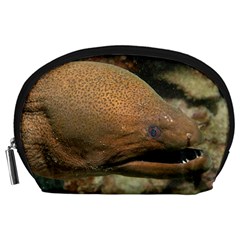 Moray Eel 1 Accessory Pouches (large)  by trendistuff