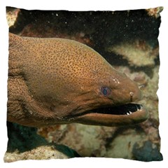 Moray Eel 1 Standard Flano Cushion Case (one Side) by trendistuff