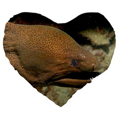 Moray Eel 1 Large 19  Premium Flano Heart Shape Cushions by trendistuff