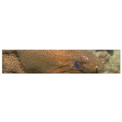 Moray Eel 1 Small Flano Scarf by trendistuff