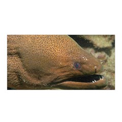 Moray Eel 1 Satin Wrap by trendistuff