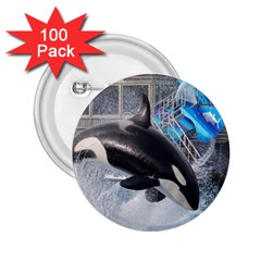 Orca 1 2 25  Buttons (100 Pack)  by trendistuff