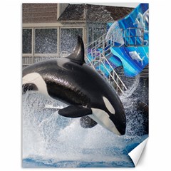 Orca 1 Canvas 12  X 16   by trendistuff