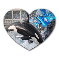 Orca 1 Heart Mousepads by trendistuff