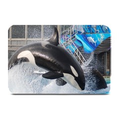 Orca 1 Plate Mats by trendistuff