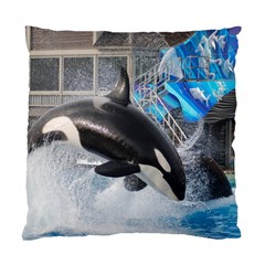 Orca 1 Standard Cushion Case (two Sides) by trendistuff