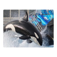 Orca 1 Double Sided Flano Blanket (mini)  by trendistuff