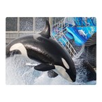 ORCA 1 Double Sided Flano Blanket (Mini)  35 x27  Blanket Front