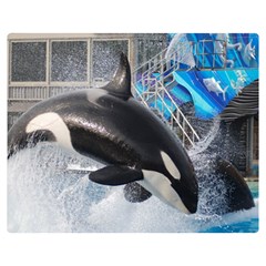 Orca 1 Double Sided Flano Blanket (medium)  by trendistuff