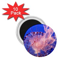 Purple Jellyfish 1 75  Magnets (10 Pack)  by trendistuff