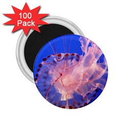 Purple Jellyfish 2 25  Magnets (100 Pack)  by trendistuff