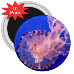 Purple Jellyfish 3  Magnets (10 Pack)  by trendistuff