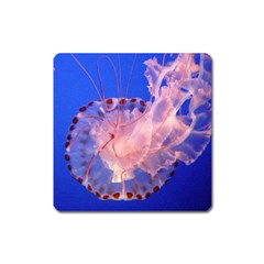 Purple Jellyfish Square Magnet by trendistuff