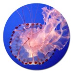 PURPLE JELLYFISH Magnet 5  (Round) Front