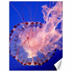 Purple Jellyfish Canvas 12  X 16   by trendistuff