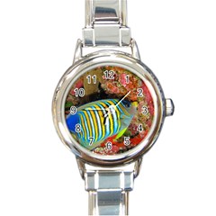 Regal Angelfish Round Italian Charm Watch by trendistuff