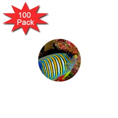 Regal Angelfish 1  Mini Buttons (100 Pack)  by trendistuff