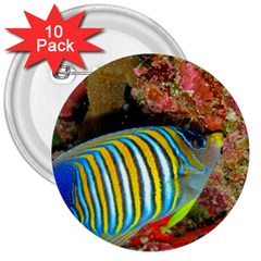 Regal Angelfish 3  Buttons (10 Pack)  by trendistuff