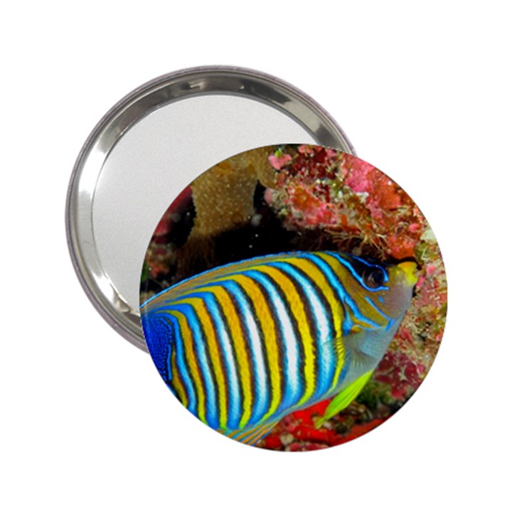 REGAL ANGELFISH 2.25  Handbag Mirrors