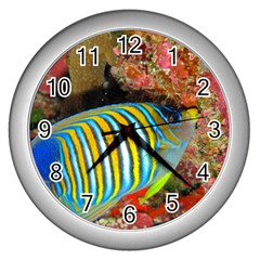 Regal Angelfish Wall Clocks (silver)  by trendistuff