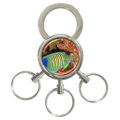 Regal Angelfish 3-ring Key Chains by trendistuff