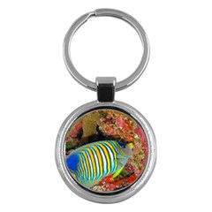 Regal Angelfish Key Chains (round)  by trendistuff