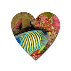 Regal Angelfish Heart Magnet by trendistuff