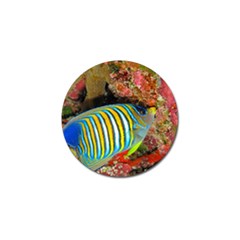 Regal Angelfish Golf Ball Marker (4 Pack) by trendistuff