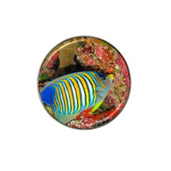 Regal Angelfish Hat Clip Ball Marker by trendistuff