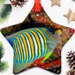 REGAL ANGELFISH Star Ornament (Two Sides) Front