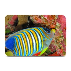 Regal Angelfish Plate Mats by trendistuff