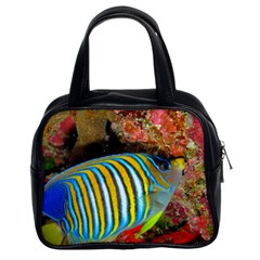 Regal Angelfish Classic Handbags (2 Sides) by trendistuff