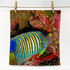 Regal Angelfish Face Towel by trendistuff