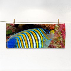 Regal Angelfish Cosmetic Storage Cases by trendistuff