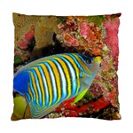 REGAL ANGELFISH Standard Cushion Case (Two Sides) Front