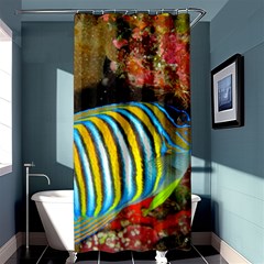 Regal Angelfish Shower Curtain 36  X 72  (stall)  by trendistuff