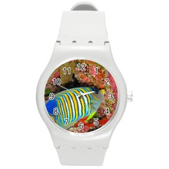 Regal Angelfish Round Plastic Sport Watch (m) by trendistuff