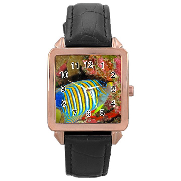 REGAL ANGELFISH Rose Gold Leather Watch 