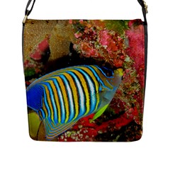 Regal Angelfish Flap Messenger Bag (l)  by trendistuff