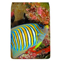 Regal Angelfish Flap Covers (l)  by trendistuff