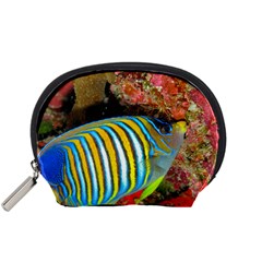 Regal Angelfish Accessory Pouches (small)  by trendistuff