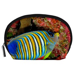 Regal Angelfish Accessory Pouches (large)  by trendistuff